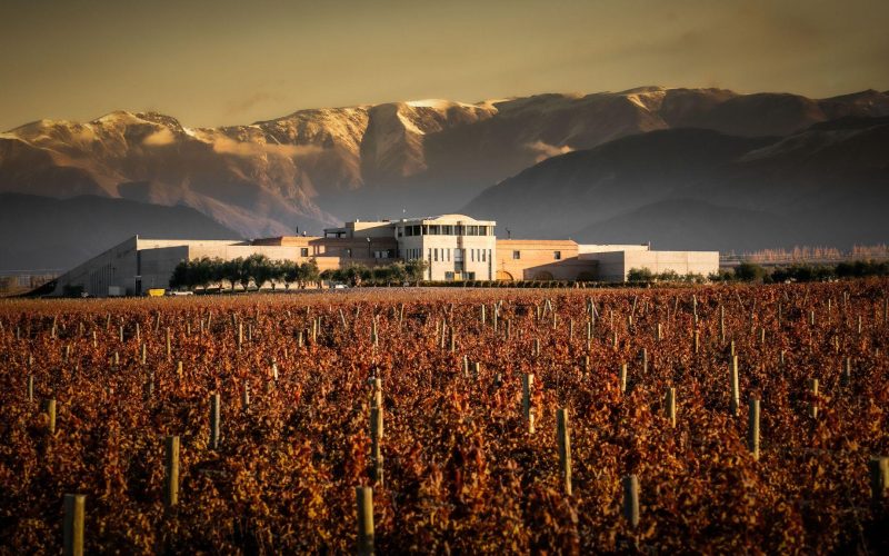 Bodega Monteviejo